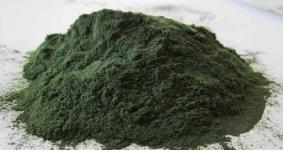 微藻营养饼干/高钙营养藻粉饼干开发